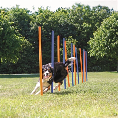 Trixie Hund Aktivität Agility Slalom Stöcke Blau / Orange